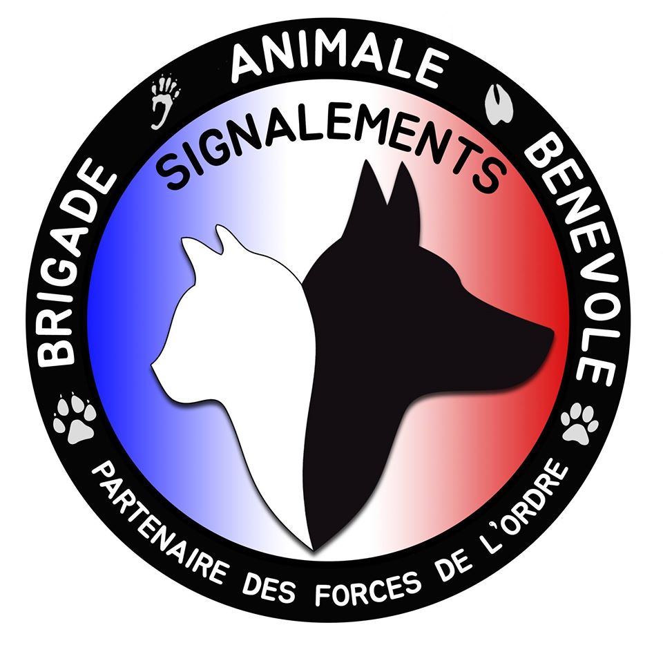 Brigade animaux bénévole