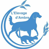 L'Élevage d'Ambre